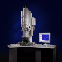 Tecnai™ Transmission Electron Microscope